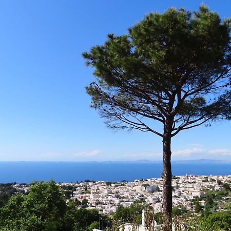 Casa Blu Otel Anacapri  Dış mekan fotoğraf