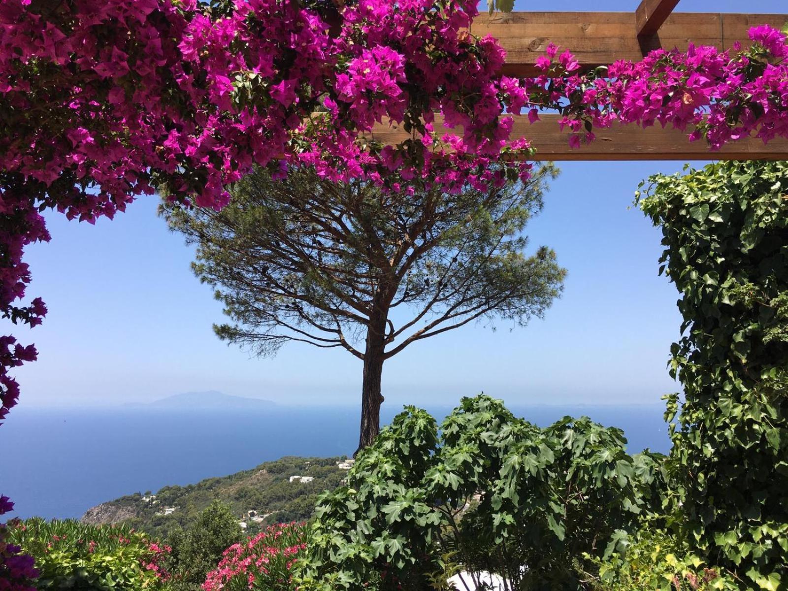 Casa Blu Otel Anacapri  Dış mekan fotoğraf