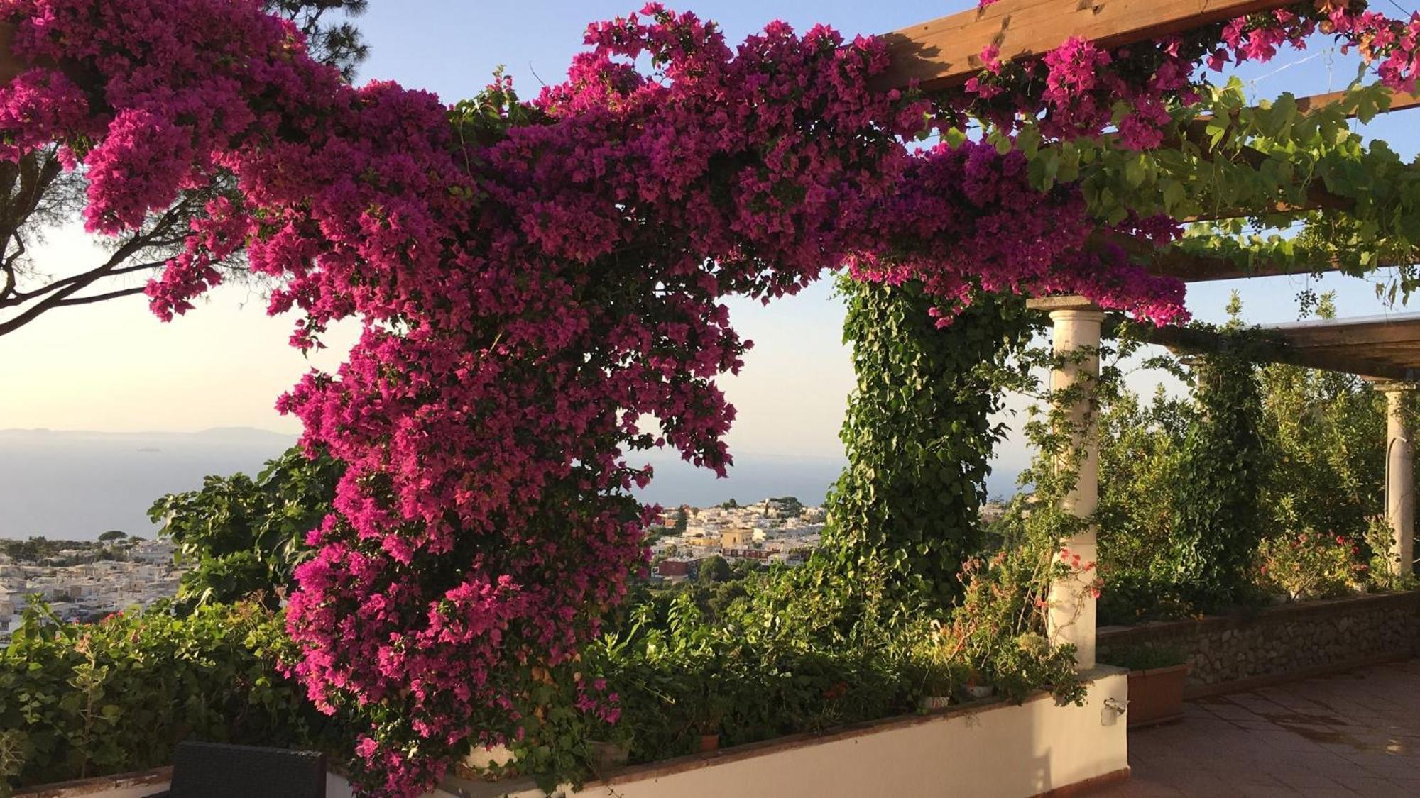 Casa Blu Otel Anacapri  Dış mekan fotoğraf