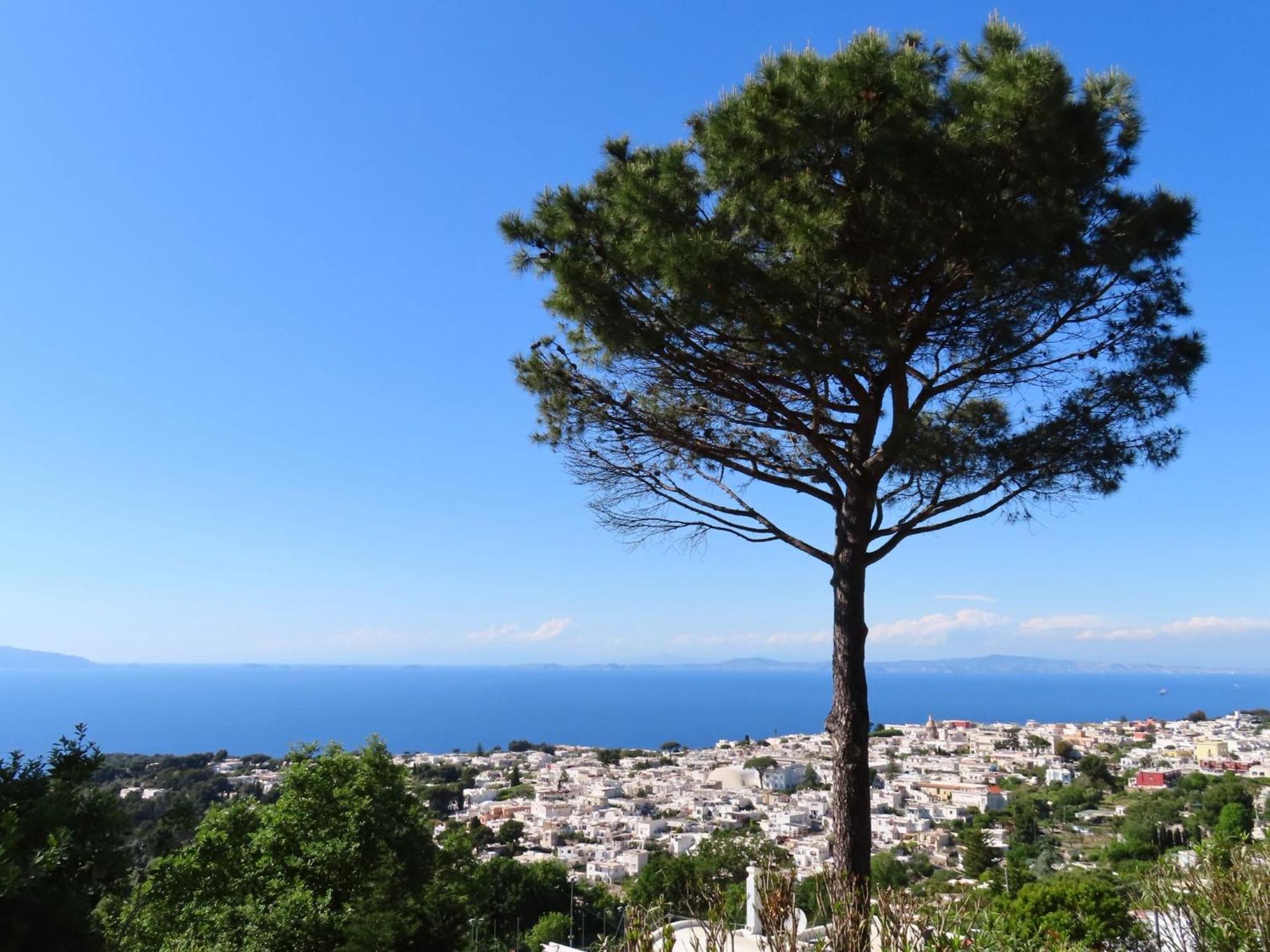 Casa Blu Otel Anacapri  Dış mekan fotoğraf